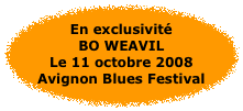 en exclusivit� Avignon blues Festival